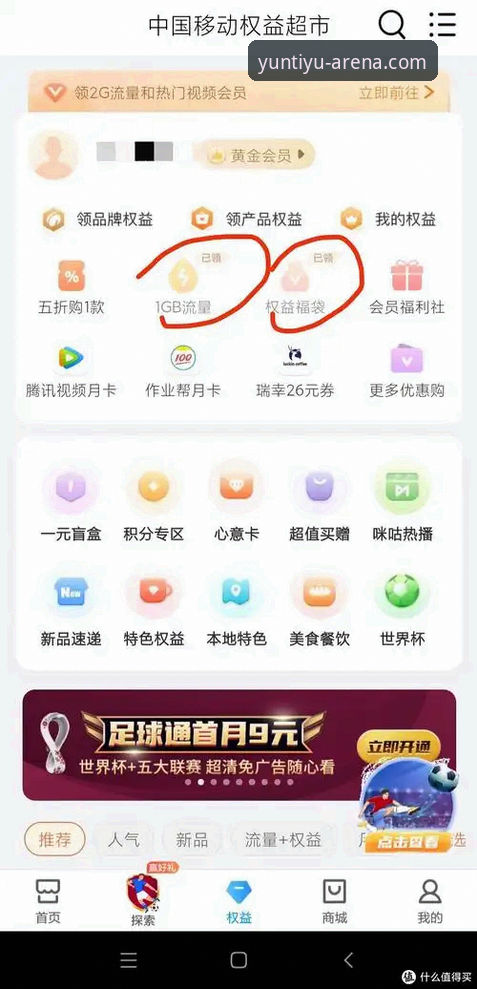 YTY app最新版本如何重塑移动观赛体验？